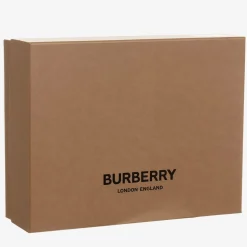 Baby Girls Pink Thomas Bear Dress Gift Set