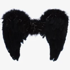 Black Feather Wings
