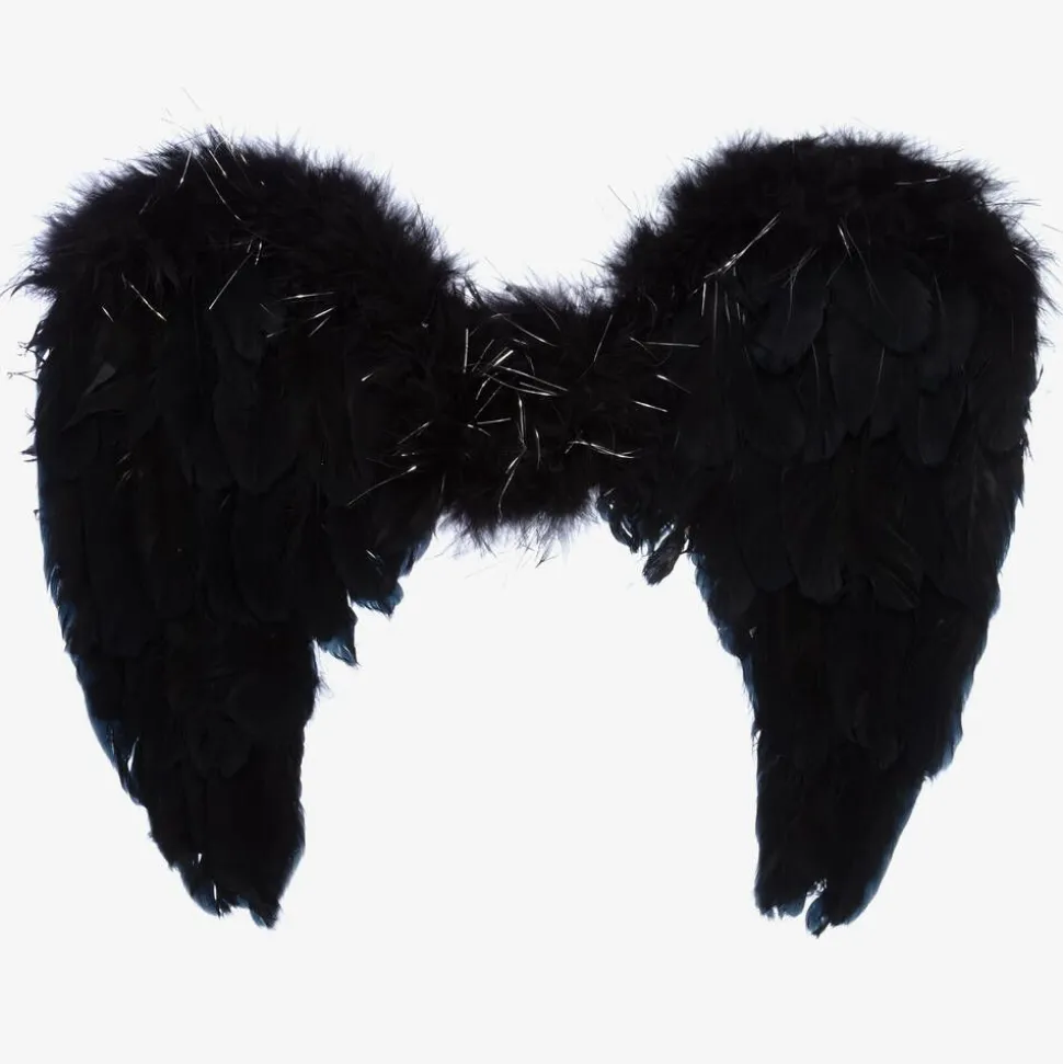 Black Feather Wings