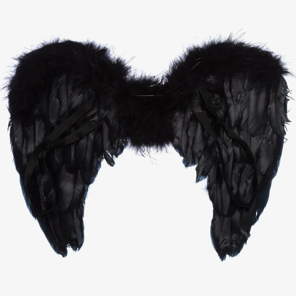 Black Feather Wings