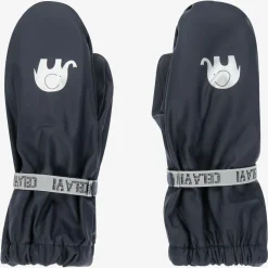 Blue Water Repellent Mittens