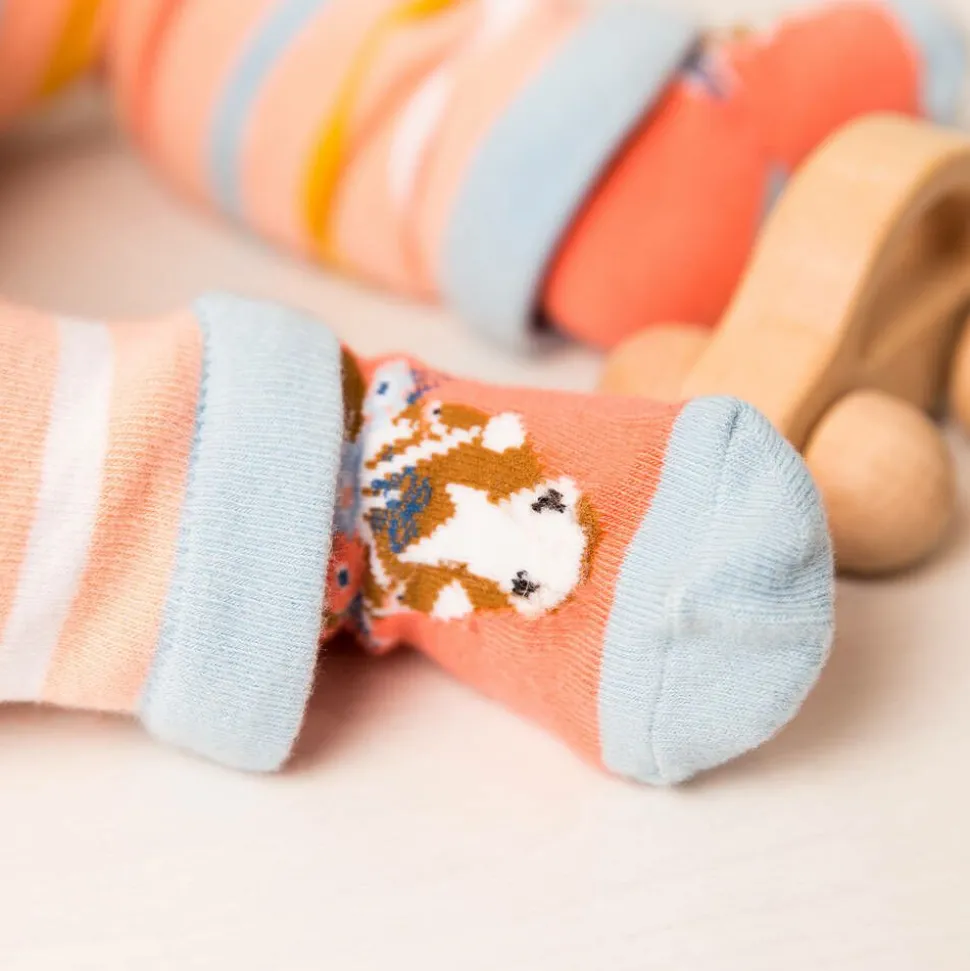 Girls Pink Cotton Bella The Horse Socks