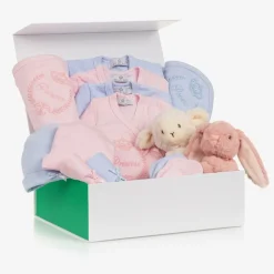 Pink & Blue Welcome To The World Twins Hamper