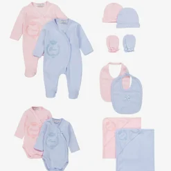 Pink & Blue Welcome To The World Twins Hamper