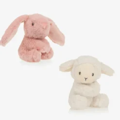 Pink & Blue Welcome To The World Twins Hamper