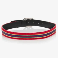Red & Blue Striped Velvet Belt