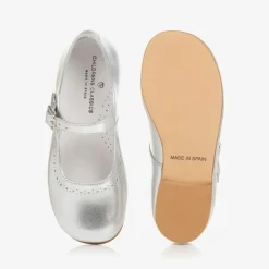 Silver Leather Shoes