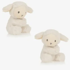 Twin Boys Welcome To The World Hamper